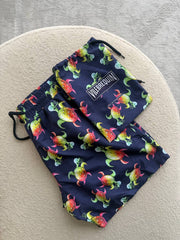 Vilebrequin swim trunks
